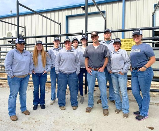ada vet team